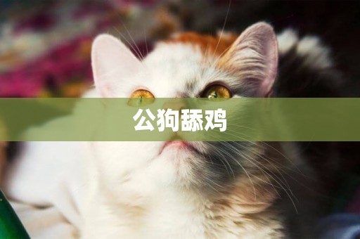 公狗舔雞