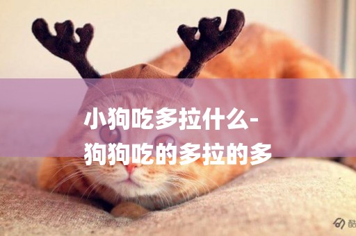 小狗吃多拉什么-
狗狗吃的多拉的多