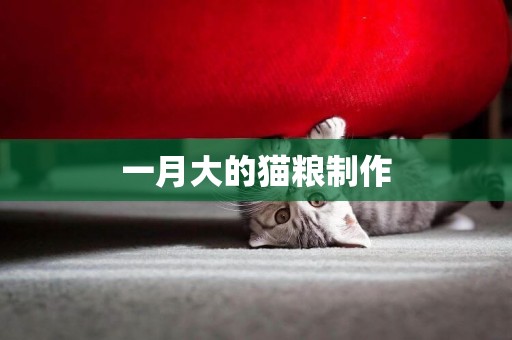 一月大的貓糧制作