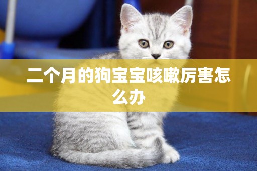 二個月的狗寶寶咳嗽厲害怎么辦