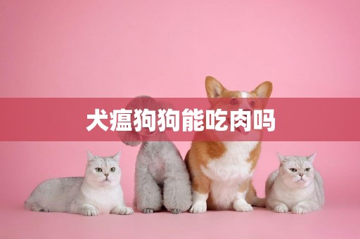 犬瘟狗狗能吃肉嗎