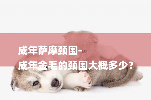成年薩摩頸圍-
成年金毛的頸圍大概多少？