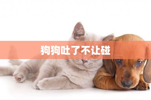狗狗吐了不讓碰