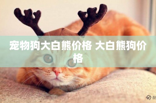 寵物狗大白熊價格 大白熊狗價格