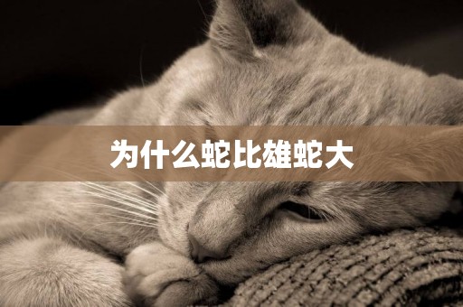 為什么蛇比雄蛇大