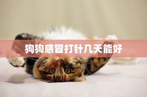 狗狗感冒打針幾天能好