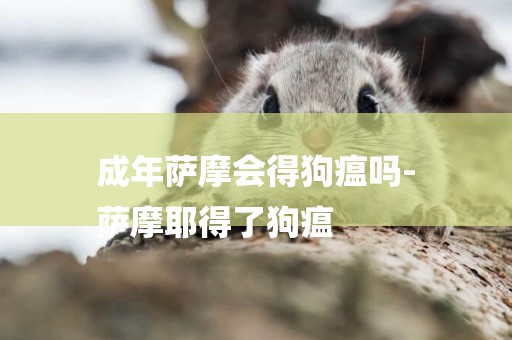 成年薩摩會得狗瘟嗎-
薩摩耶得了狗瘟