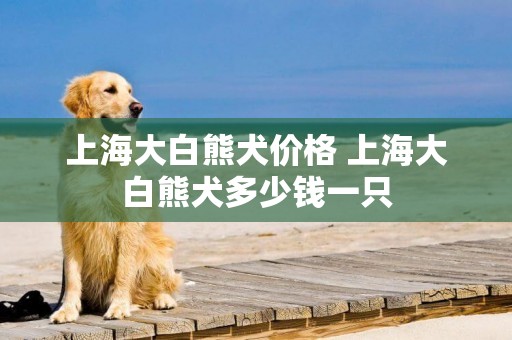 上海大白熊犬價格 上海大白熊犬多少錢一只