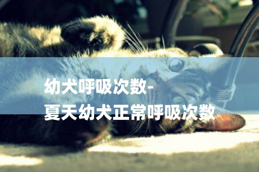 幼犬呼吸次數-
夏天幼犬正常呼吸次數