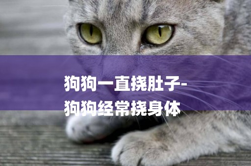 狗狗一直撓肚子-
狗狗經常撓身體