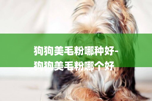 狗狗美毛粉哪種好-
狗狗美毛粉哪個好