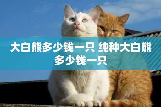 大白熊多少錢一只 純種大白熊多少錢一只
