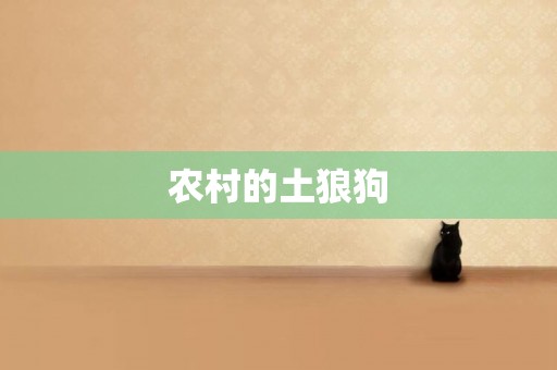 農村的土狼狗