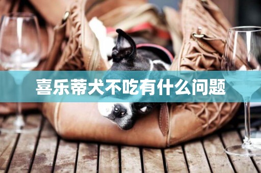 喜樂蒂犬不吃有什么問題