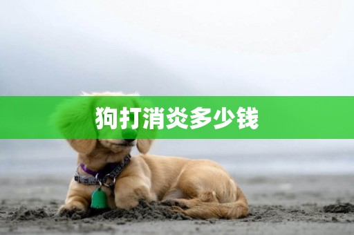 狗打消炎多少錢