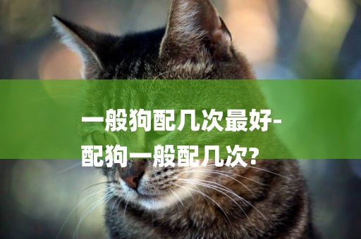 一般狗配幾次最好-
配狗一般配幾次?