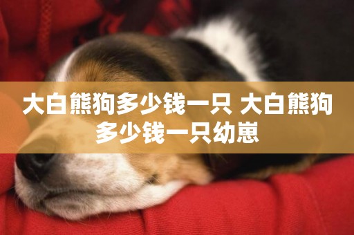 大白熊狗多少錢一只 大白熊狗多少錢一只幼崽