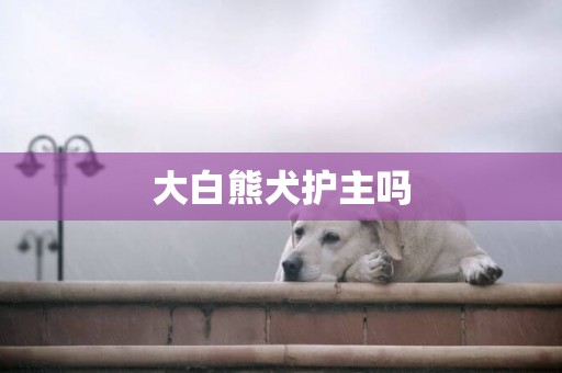 大白熊犬護主嗎