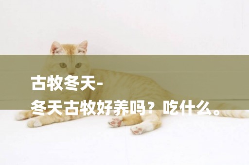 古牧冬天-
冬天古牧好養嗎？吃什么。