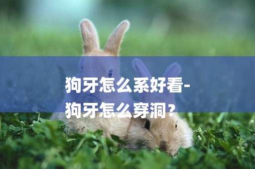 狗牙怎么系好看-
狗牙怎么穿洞？