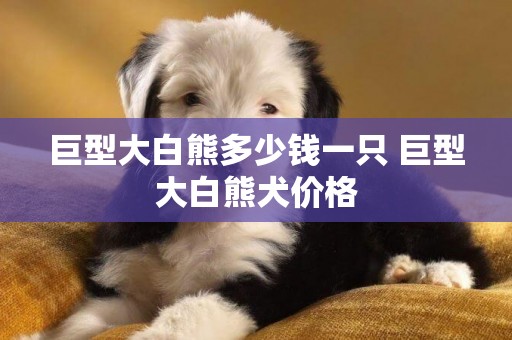 巨型大白熊多少錢一只 巨型大白熊犬價格