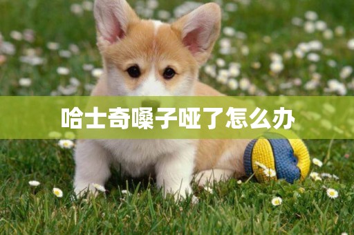 哈士奇嗓子啞了怎么辦
