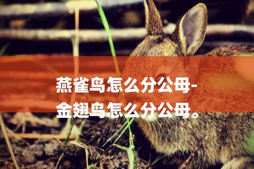 燕雀鳥怎么分公母-
金翅鳥怎么分公母。