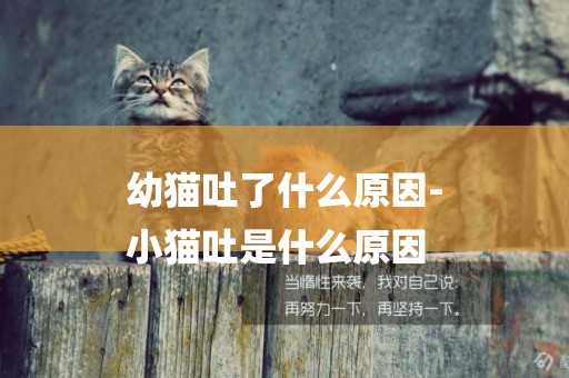 幼貓吐了什么原因-
小貓吐是什么原因