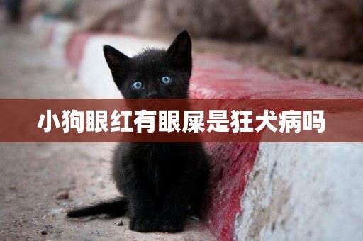 小狗眼紅有眼屎是狂犬病嗎