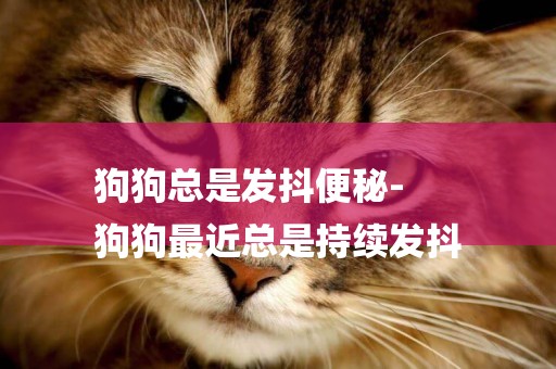 狗狗總是發抖便秘-
狗狗最近總是持續發抖
