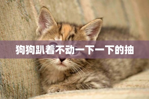 狗狗趴著不動一下一下的抽