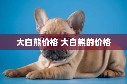 大白熊價格 大白熊的價格