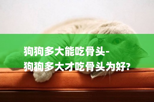 狗狗多大能吃骨頭-
狗狗多大才吃骨頭為好?