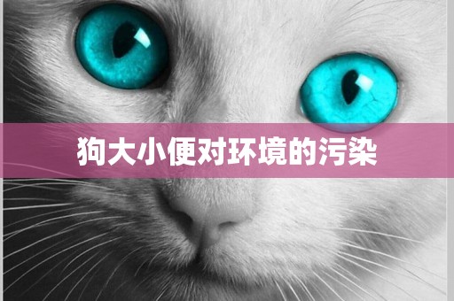 狗大小便對環境的污染