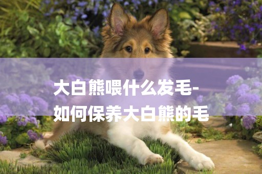 大白熊喂什么發毛-
如何保養大白熊的毛