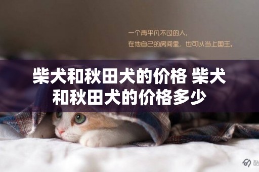 柴犬和秋田犬的價格 柴犬和秋田犬的價格多少