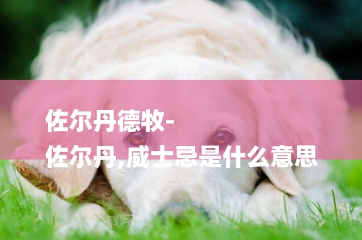 佐爾丹德牧-
佐爾丹,威士忌是什么意思