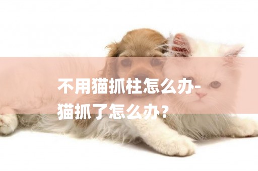 不用貓抓柱怎么辦-
貓抓了怎么辦？