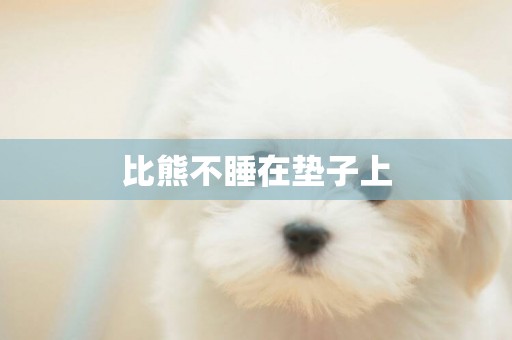比熊不睡在墊子上