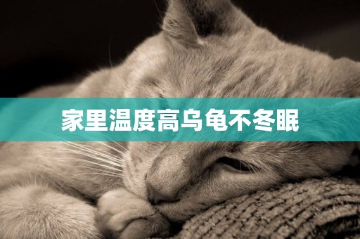 家里溫度高烏龜不冬眠