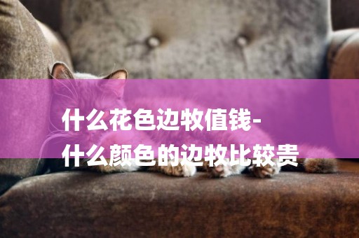 什么花色邊牧值錢-
什么顏色的邊牧比較貴
