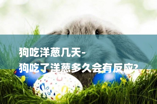 狗吃洋蔥幾天-
狗吃了洋蔥多久會有反應?