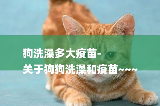 狗洗澡多大疫苗-
關于狗狗洗澡和疫苗~~~