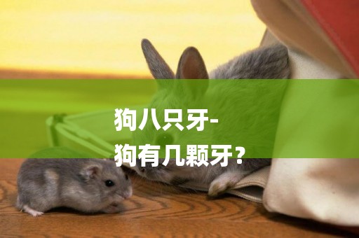 狗八只牙-
狗有幾顆牙？