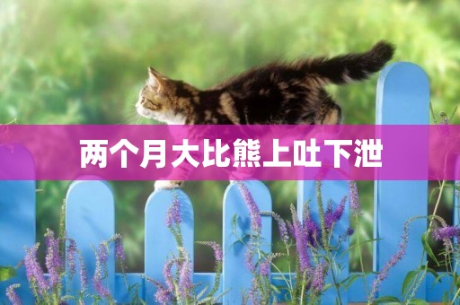 兩個月大比熊上吐下泄