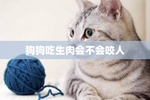 狗狗吃生肉會不會咬人