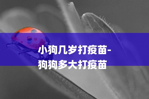 小狗幾歲打疫苗-
狗狗多大打疫苗
