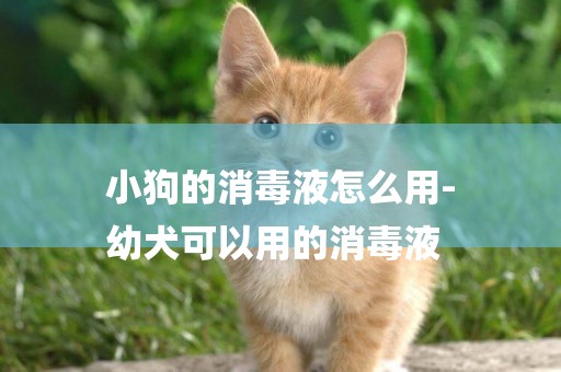 小狗的消毒液怎么用-
幼犬可以用的消毒液
