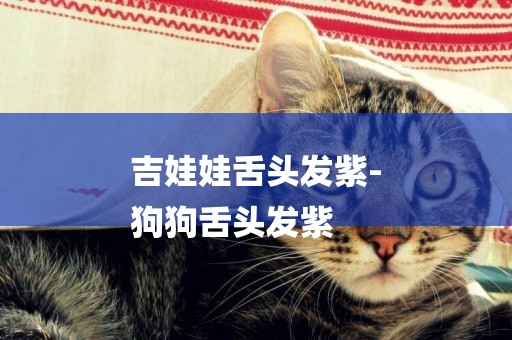 吉娃娃舌頭發紫-
狗狗舌頭發紫