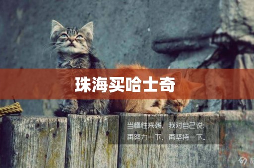 珠海買哈士奇 